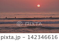 Surfers waiting for waves in the ocean at sunset 142346616