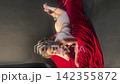 Sensual Woman in Shibari on Red Velvet 142355872