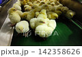 Newly Hatched Chicks on Conveyor Belt in Modern Poultry Hatchery Facility 142358626