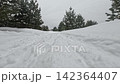 Snow-Covered Pathway in a Tranquil Winter Landscape Surrounded by Pine Trees Under a Cloudy Sky. 142364407