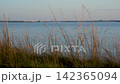 Scenic View of Serene Waters and Swaying Grass at Dusk with Reflections of Urban Landscape Under a Soft Evening Sky. 142365094
