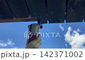 Cutting Wood with Power Tool Beneath Blue Sky 142371002