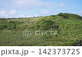 A lush green field swaying in the wind and white clouds floating in the blue sky on Yonaguni Island, Okinawa (refreshing, nature, healing, summer) 142373725