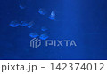 線鰭鰺的視頻 142374012