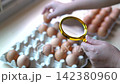 Close-up video of a hand selecting and inspecting brown chicken eggs arranged in a cardboard carton 142380960
