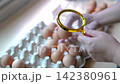 Close-up video of a hand selecting and inspecting brown chicken eggs arranged in a cardboard carton 142380961