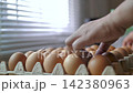 Close-up video of a hand selecting and inspecting brown chicken eggs arranged in a cardboard carton 142380963