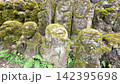 京都・愛宕念仏寺に並ぶ千二百羅漢の石仏　奥嵯峨の歴史ある寺院風景 142395698