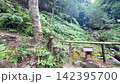 京都・愛宕念仏寺に並ぶ千二百羅漢の石仏　奥嵯峨の歴史ある寺院風景 142395700