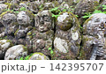 京都・愛宕念仏寺に並ぶ千二百羅漢の石仏　奥嵯峨の歴史ある寺院風景 142395707