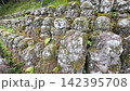京都・愛宕念仏寺に並ぶ千二百羅漢の石仏　奥嵯峨の歴史ある寺院風景 142395708