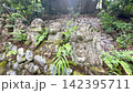 京都・愛宕念仏寺に並ぶ千二百羅漢の石仏　奥嵯峨の歴史ある寺院風景 142395711