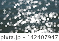 The shimmering surface of the water reflects sunlight, creating a fantastical bokeh effect. 142407947