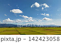 秋日天空下的新潟稻田 142423058