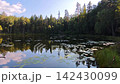 Tranquil forest lake with water lilies and sky reflection 142430099