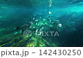 Aquatic plants and freshwater fish spread across the clear waters of the Plata River. 142430250