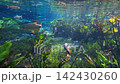 Freshwater fish swimming in the rocky riverbed of Aquario Natural 142430260