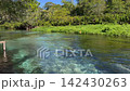 The bluish-green Skree River flows along the jungle near Bonito. 142430263