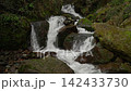 Beautiful mountain creek cascading through mossy boulders. 142433730