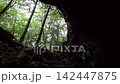 Forest viewed from inside the West Lake Dragon Palace Cave / Green trees spreading out at the cave entrance 142447875