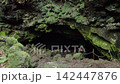The entrance to the Saiko Ryugu Cave, surrounded by moss and rocks / Forest scenery of Yamanashi Prefecture 142447876