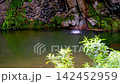 靜謐的瀑布水潭：前景模糊 142452959