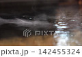水面泛起漣漪，蒸氣升騰。露天溫泉浴池，溫泉水自由流動，四周一片靜謐。 142455324