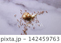 Ants infesting dirty bowl in messy kitchen 142459763