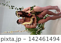Adam and Eve reenactment with snake and apple 142461494