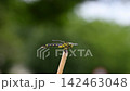 Uchiyayama 142463048