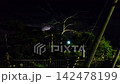Lightning flashing in the distance Lightning flashing in the distance 142478199