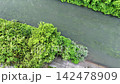 早朝の川上村に広がる千曲川Chikuma Riverレタス畑を捉えたドローン空撮（長野県南佐久郡） 142478909
