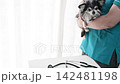 獸醫和狗:吉娃娃 獸醫和狗:吉娃娃 142481198