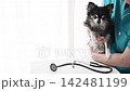 獸醫和老年犬:吉娃娃 獸醫和老年犬:吉娃娃 142481199