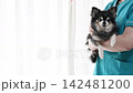 獸醫和老年犬:吉娃娃 獸醫和老年犬:吉娃娃 142481200