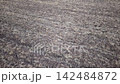 Low aerial video flies above harvested farmland, revealing dark stubble, soil texture and long field rows. Rural landscape opens toward horizon beneath clouds, showing agriculture after harvest 142484872
