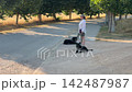 Woman with two dogs relaxing on a summer day 142487987