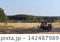 Group of friends relaxing together outdoors in a field 142487989