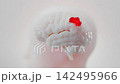 Brain damage abnormalities or foreign. Cancer tumor malignant cells growth and spreading. Can be used in medical elements related meningioma or neurological disease. Minimal idea concept, 3D Render. 142495966