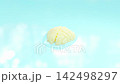 Brain projection emerges from blue background simulating fluid. Can be used in medical elements related Medical and neurological aspects. Minimal idea concept, 3D Render. 142498297
