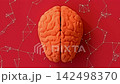 Brain orange color and connection simulation on red color. Minimal concept design. Animation seamless loop, 3D Render. 142498370