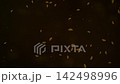 Elegant, mystical dark backdrop featuring soft glowing bokeh lights and golden magical dust particles. 142498996