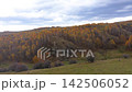 Aerial view of autumn forest canopy 142506052