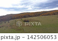 Golden fall foliage landscape under overcast sky aerial view 142506053