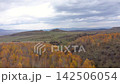 Vibrant autumn forest cover on rolling hills aerial view 142506054