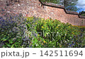 Walled Kitchen Garden with Blooming Flower Borders at Knightshayes Court 142511694