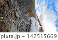 Asahidake and volcanic smoke in autumn 142515669