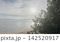 横型動画・木の葉のシルエット越しに輝くサンスターと砂浜、穏やかな海 142520917