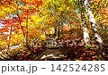 Autumn Air Shrine [Asahi Town, Yamagata Prefecture] 142524285