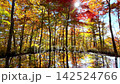 Autumn Air Shrine [Asahi Town, Yamagata Prefecture] 142524766